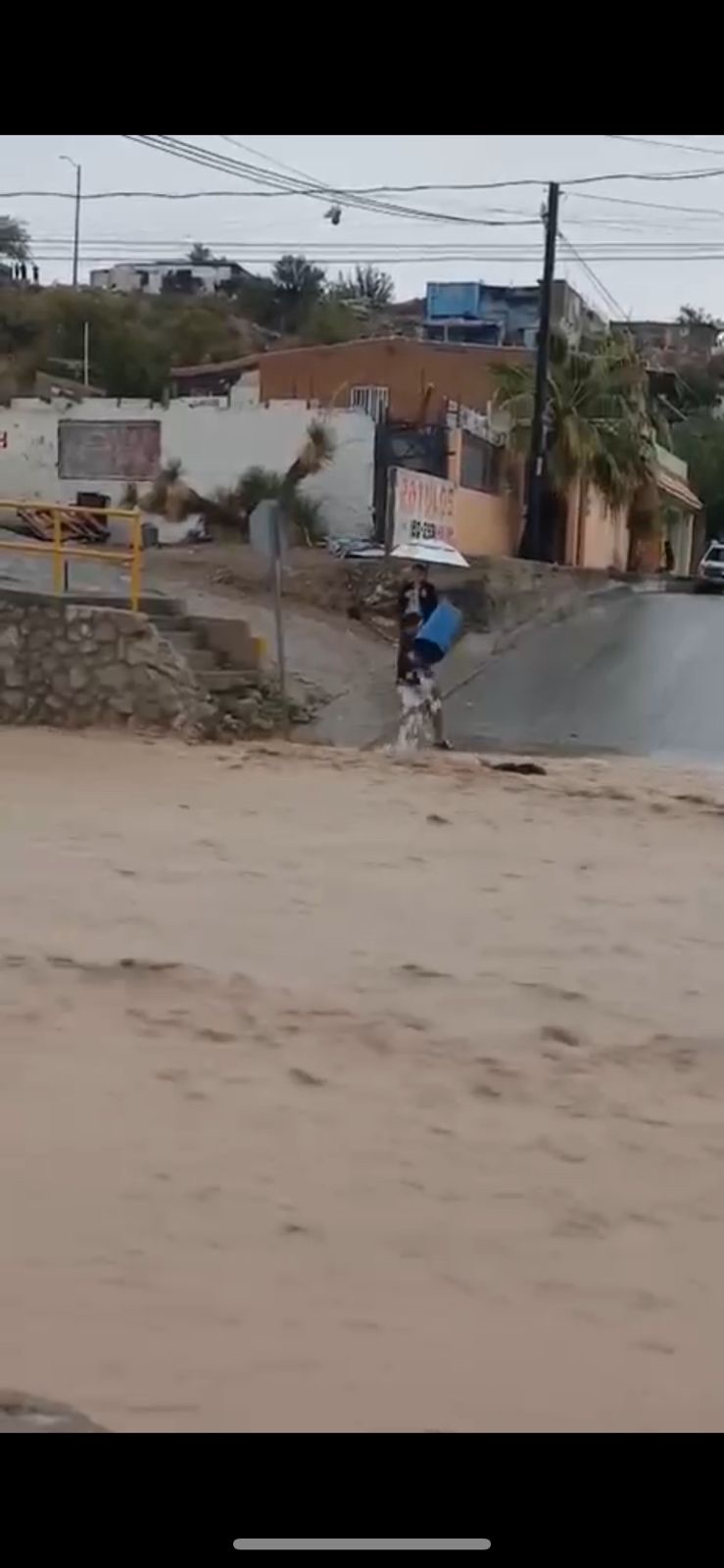 PIDEN AYUDA PARA IDENTIFICAR AL COCHINO DE LA SEMANA
