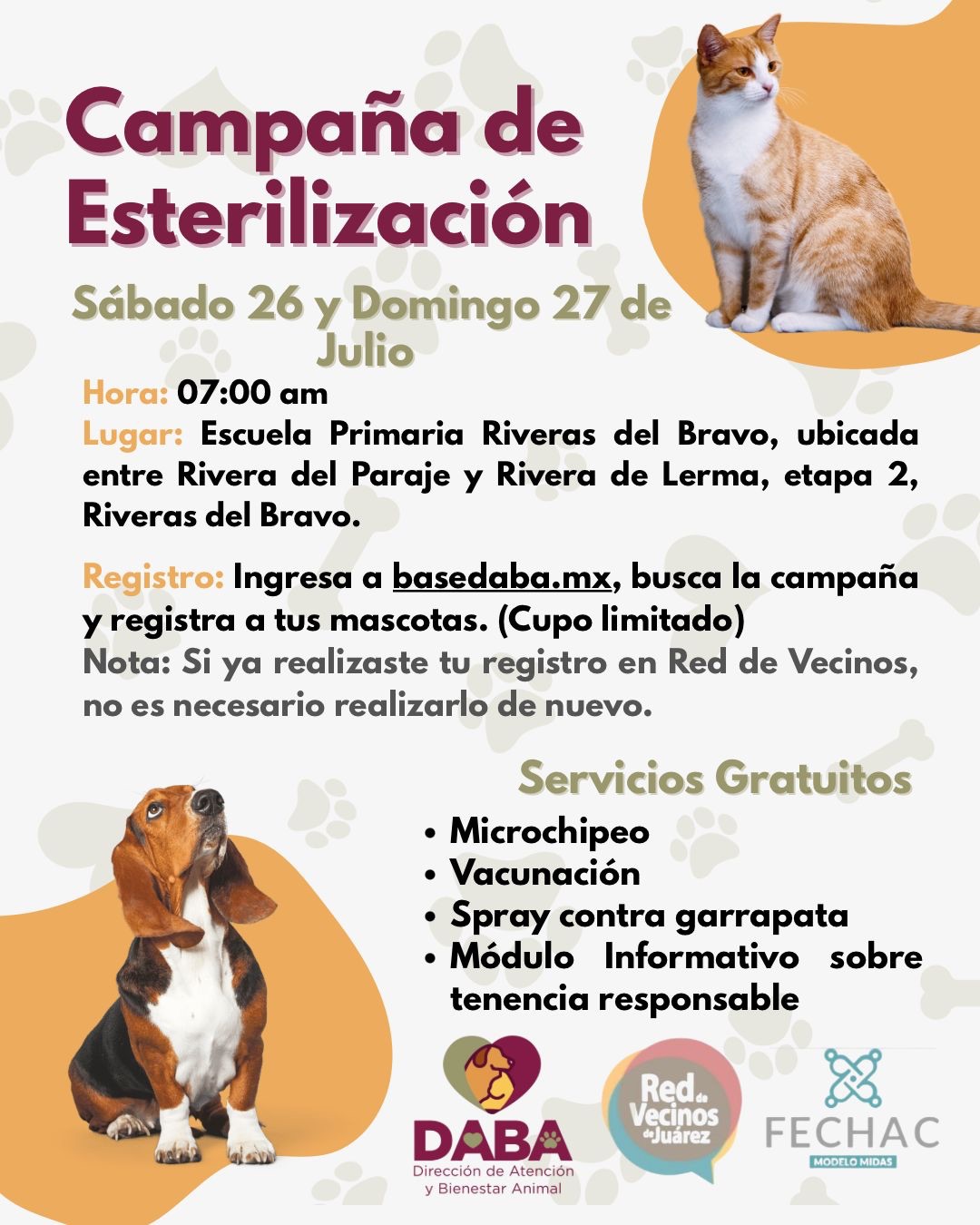 ¡ESTERILIZACIÓN GRATUITA PARA TUS&nbsp;MASCOTAS!