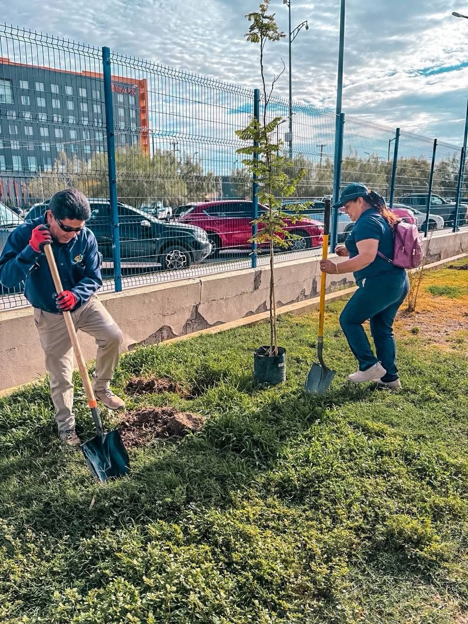 DONAN 41 ÁRBOLES AL PARQUE CENTRAL