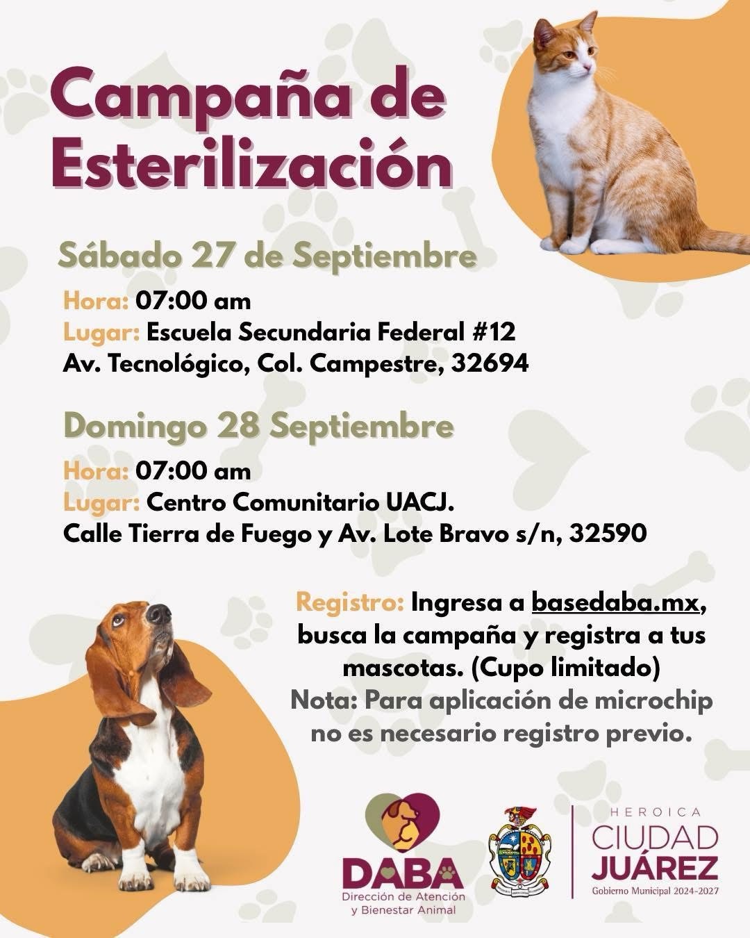 ESTERILIZACIÓN GRATUITA DE MASCOTAS EN SECUNDARIA FEDERAL 12 Y COMUNITARIO UACJ