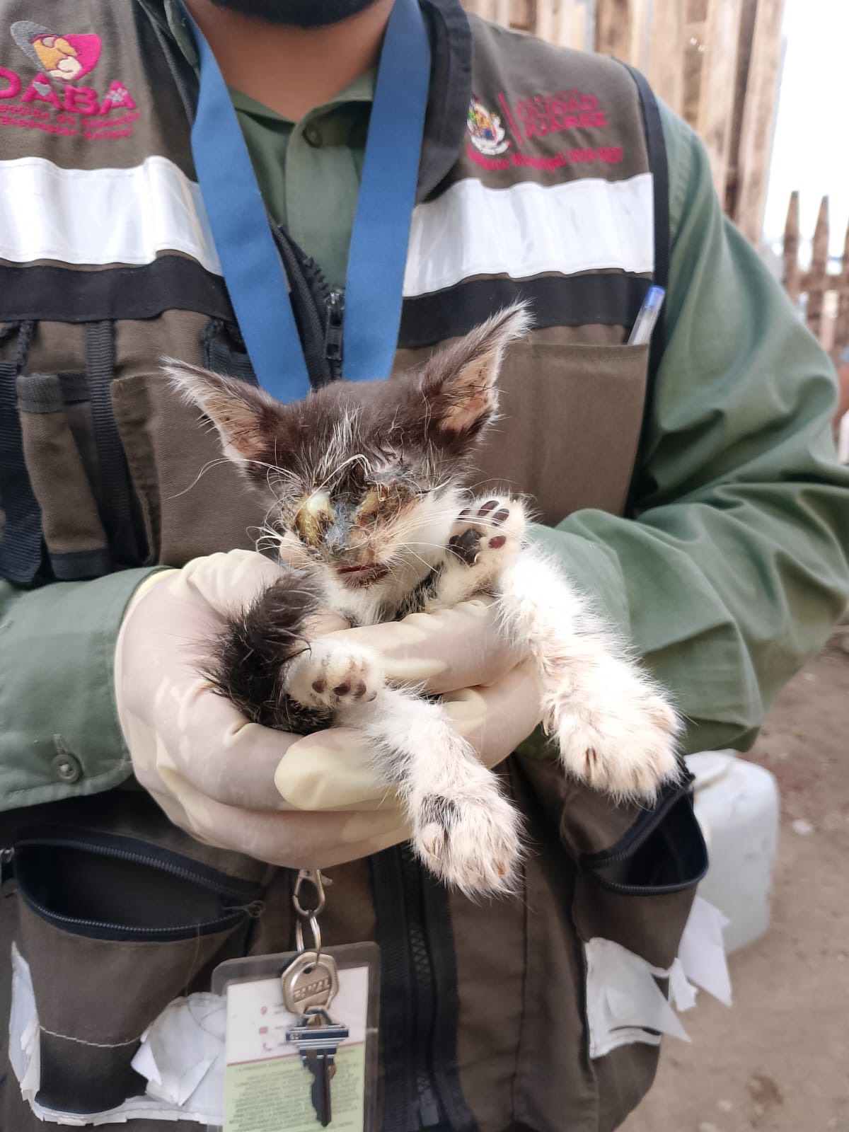 ORDEN DE CATEO PERMITE RESCATE DE 14 ANIMALES EN RIESGO EN JUÁREZ