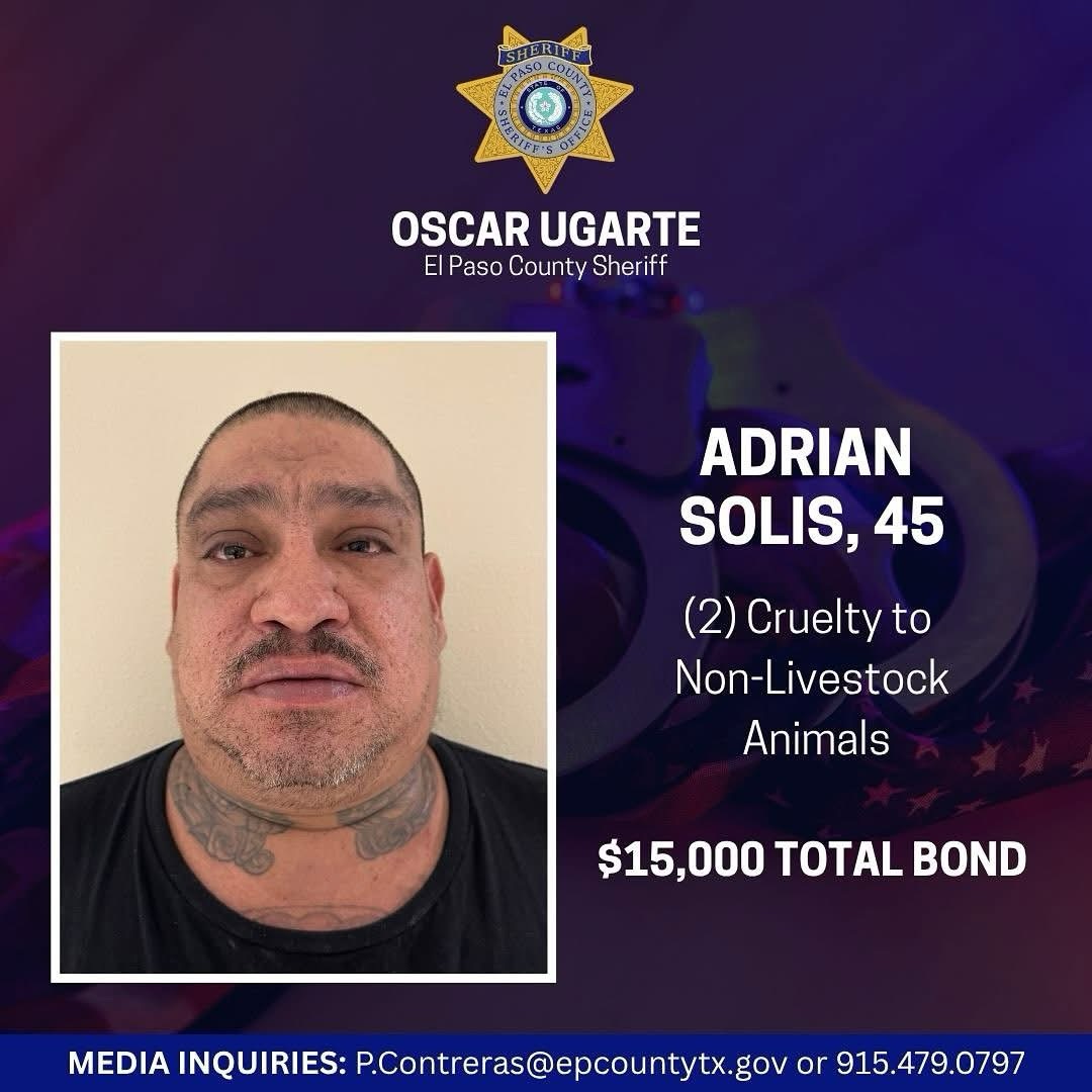 DOS PITBULLCITOS SON RESCATADOS EN EL PASO; DUEÑO ACUSADO DE CRUELDAD ANIMAL