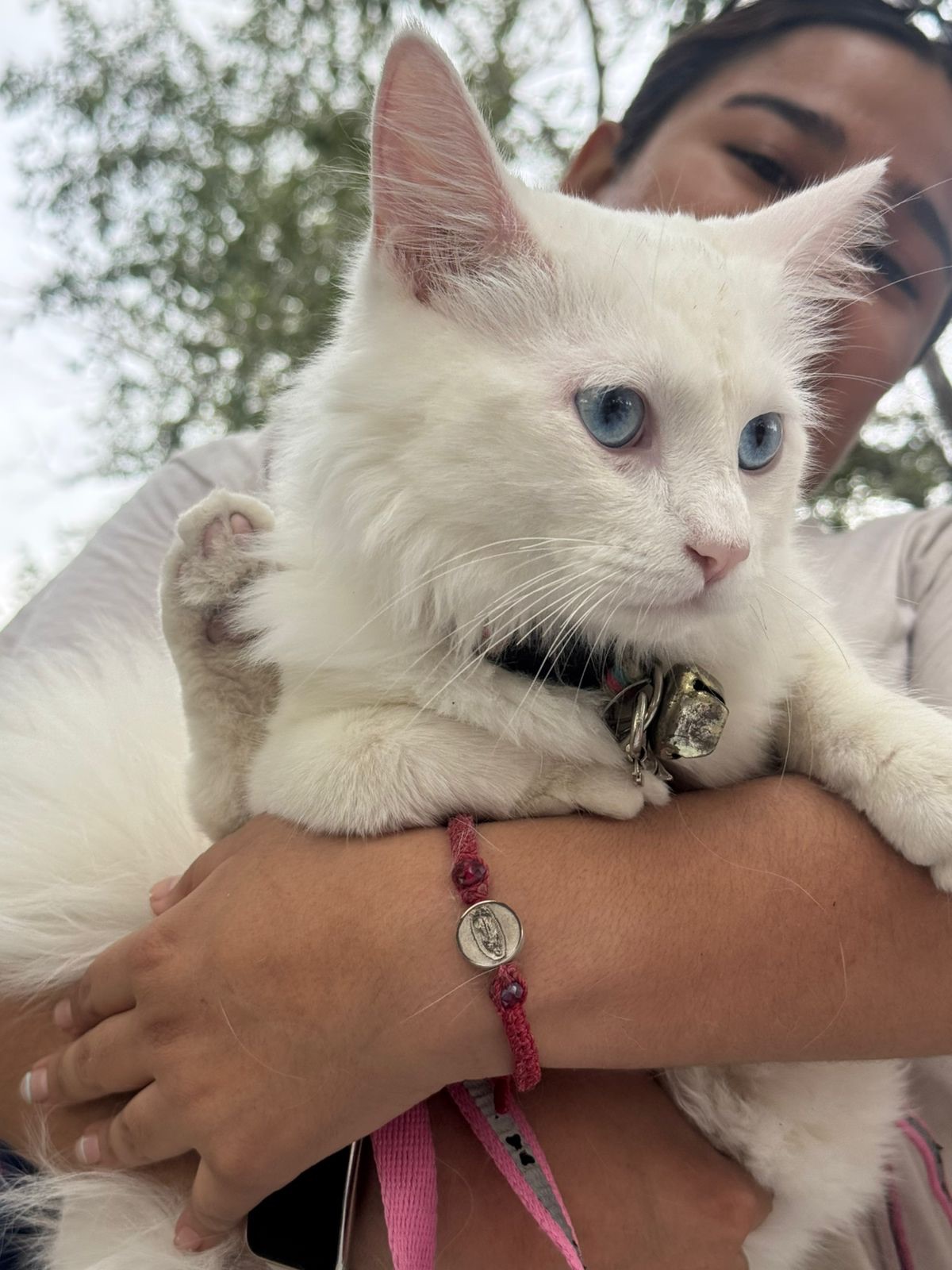 VACUNAN, PROTEGEN CONTRA GARRAPATA Y COLOCAN MICROCHIP A MASCOTAS EN&nbsp;JUÁREZ