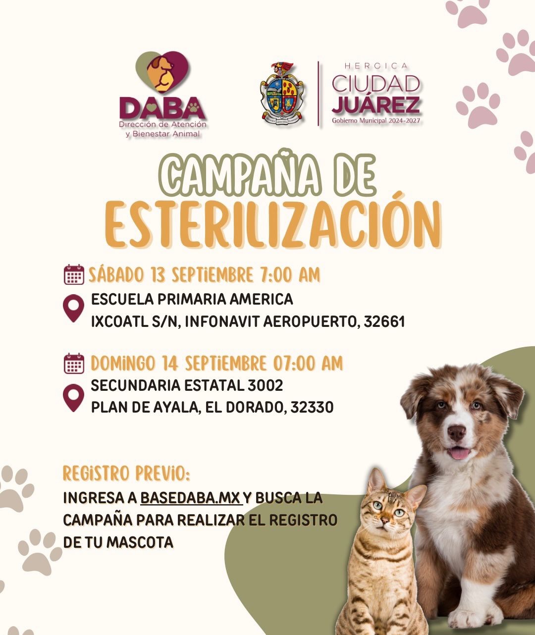 JORNADA DE ESTERILIZACIÓN ESTE FIN DE SEMANA EN JUÁREZ