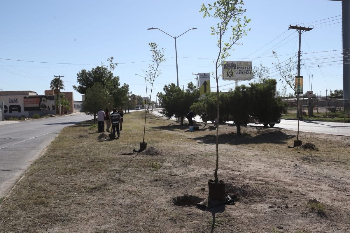 PLANTAN 50 ÁRBOLES EN EJÉRCITO NACIONAL