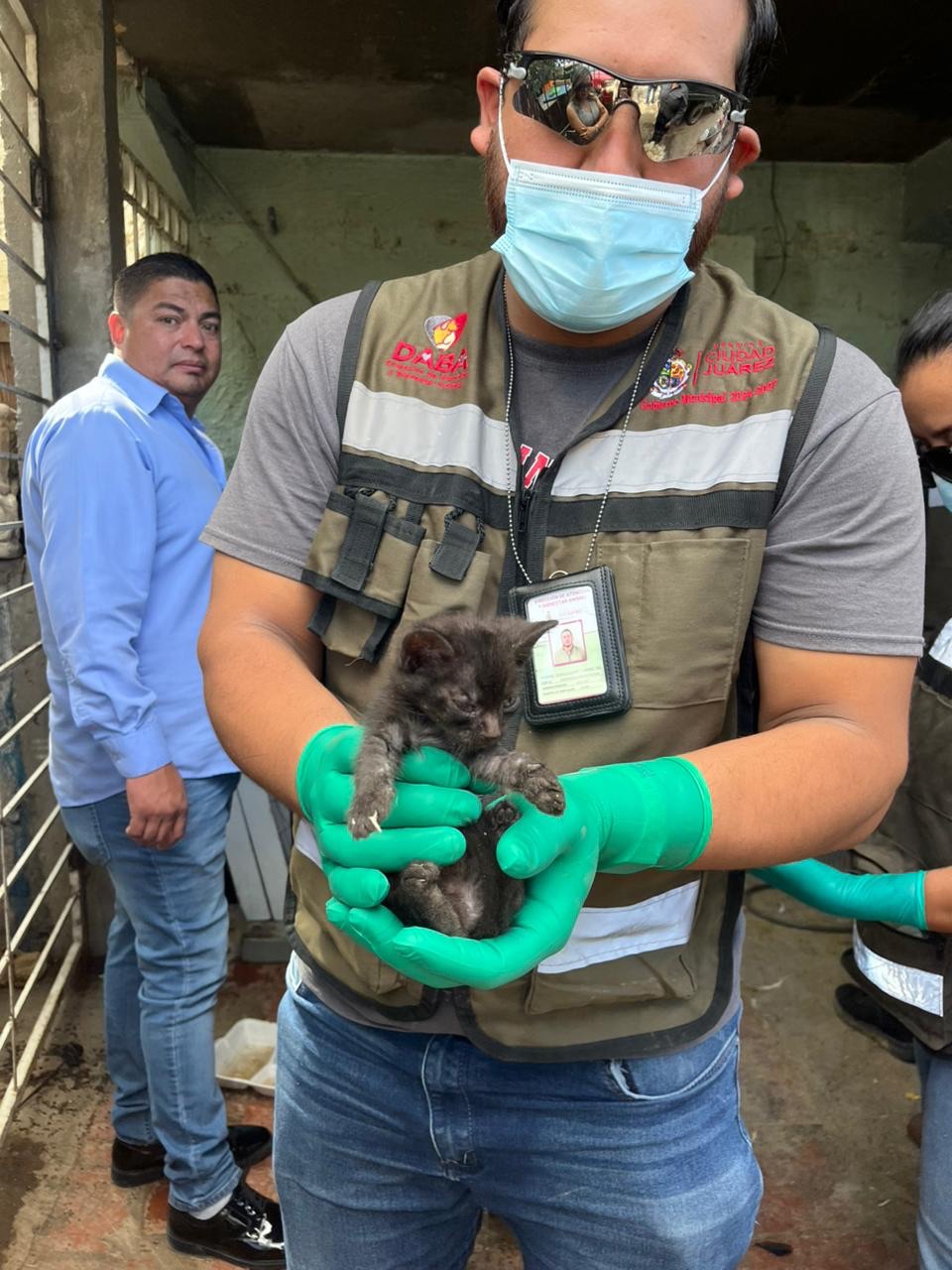 RESCATAN 528 ANIMALES EN CINCO OPERATIVOS EN&nbsp;JUÁREZ