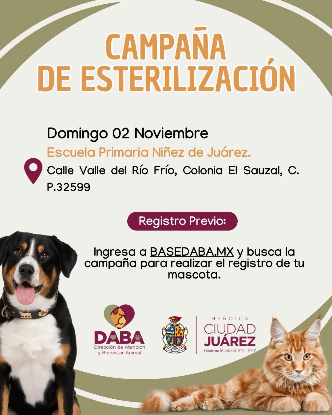 SIGUE LA ESTERILIZACIÓN GRATUITA ESTE FIN