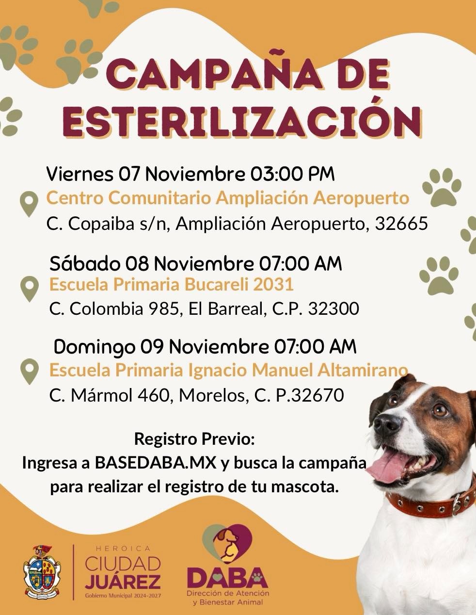 ESTERILIZACIONES GRATIS EN JUÁREZ ESTE VIERNES, SÁBADO Y&nbsp;DOMINGO