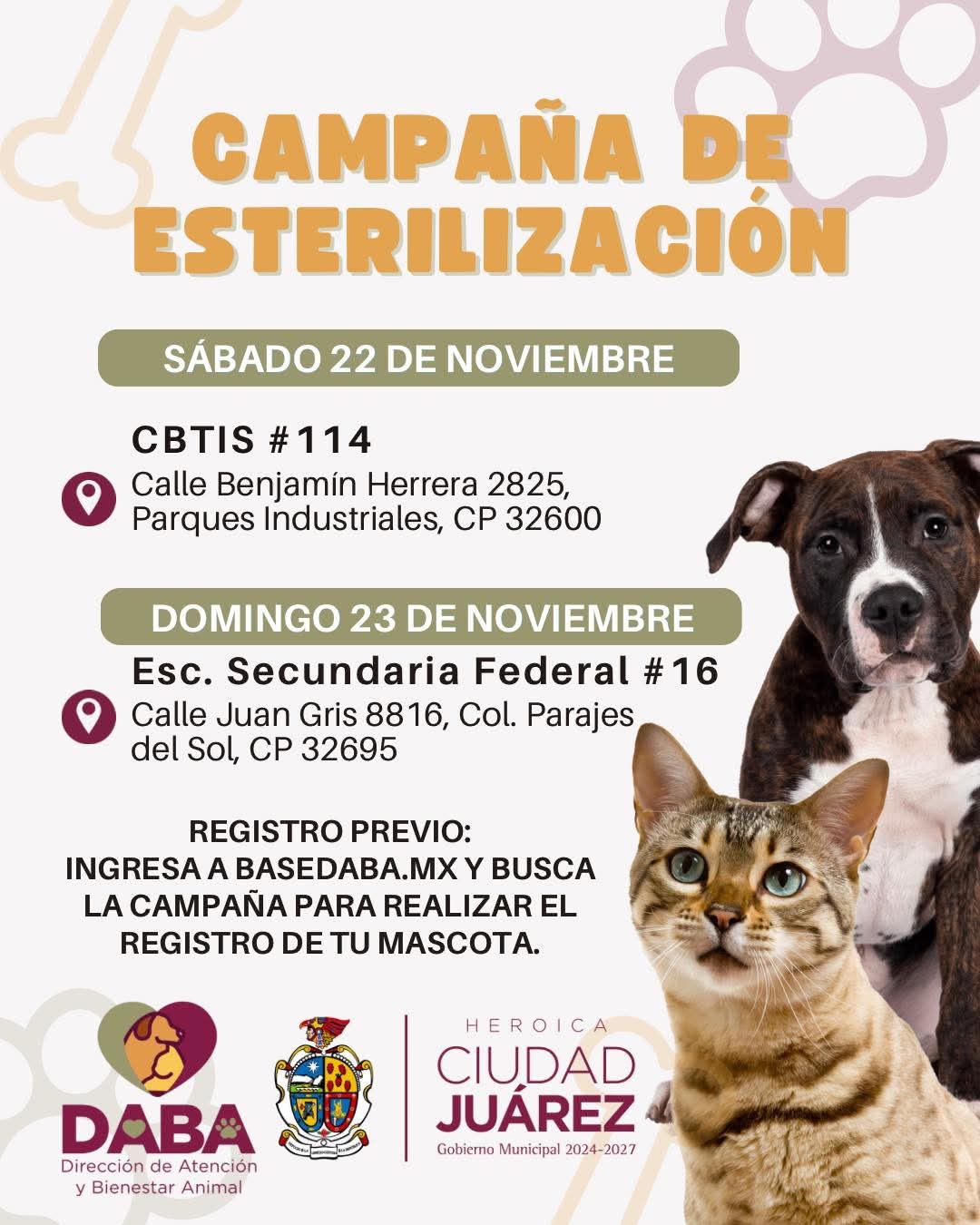 ESTERILIZACIÓN GRATUITA LLEGA A JUÁREZ ESTE FIN DE&nbsp;SEMANA