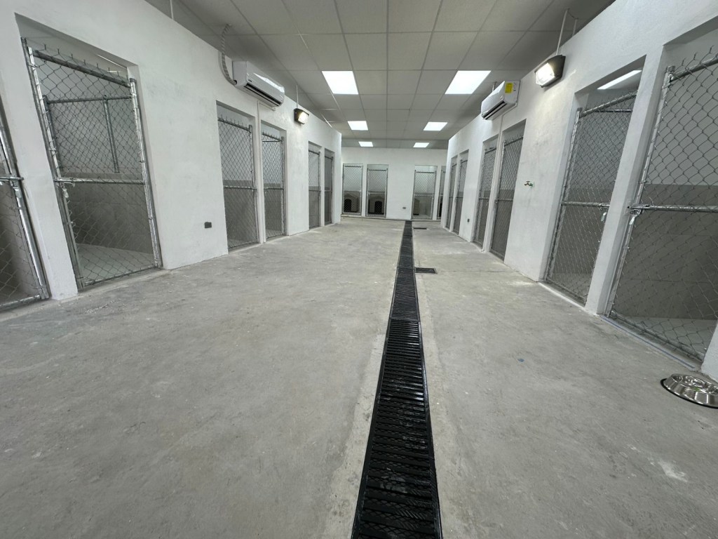 AVANZA REHABILITACIÓN DEL CENTRO DE BIENESTAR&nbsp;ANIMAL