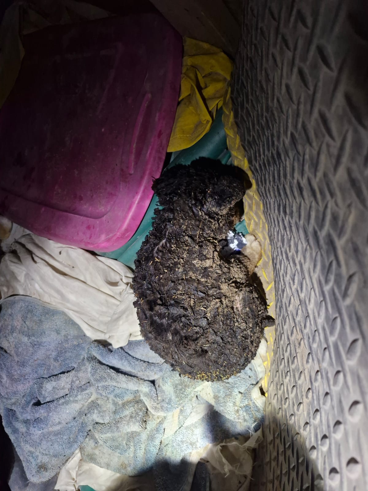 Entrada sin título 10711