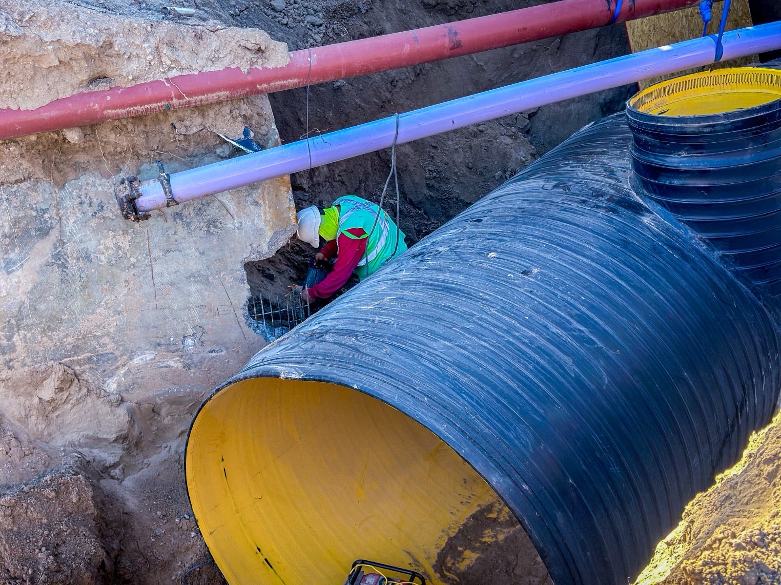 COLECTOR VIÑEDOS A PUNTO DE TERMINAR TRAS MESES DE TRABAJO EN&nbsp;JUÁREZ