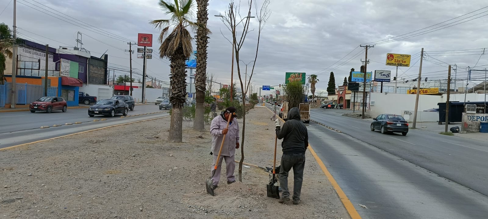 LA TECNOLÓGICO AMANECIÓ CON DECENAS DE NUEVOS&nbsp;ÁRBOLES