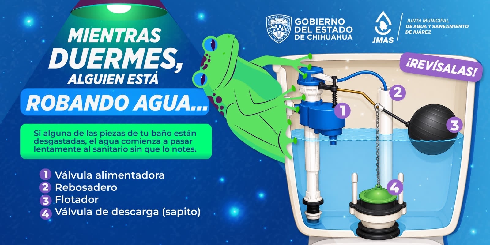 JMAS RECOMIENDA REVISAR EL SAPITO DEL SANITARIO