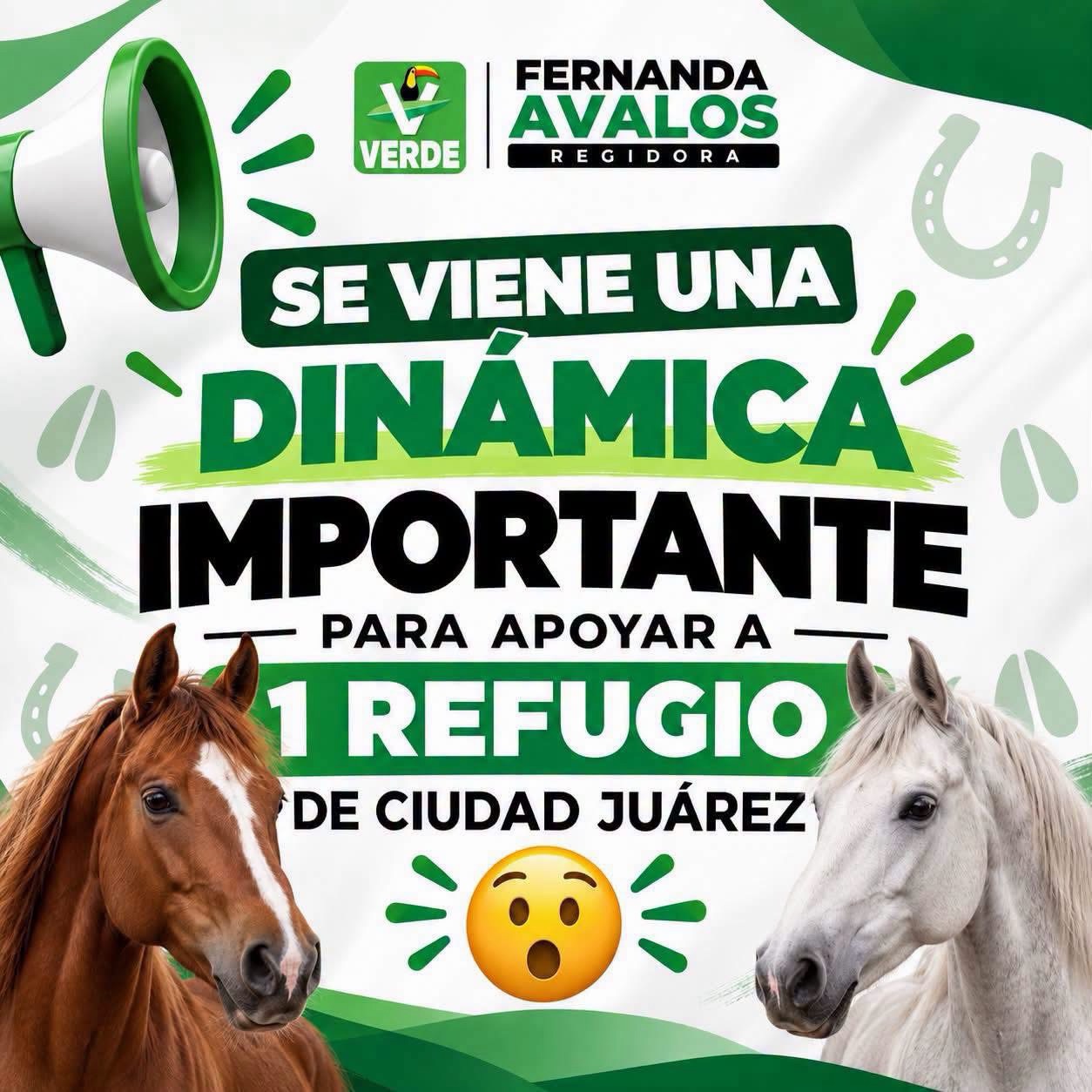 20 MIL PESOS PARA ALIMENTAR Y CUIDAR CABALLOS RESCATADOS EN JUÁREZ